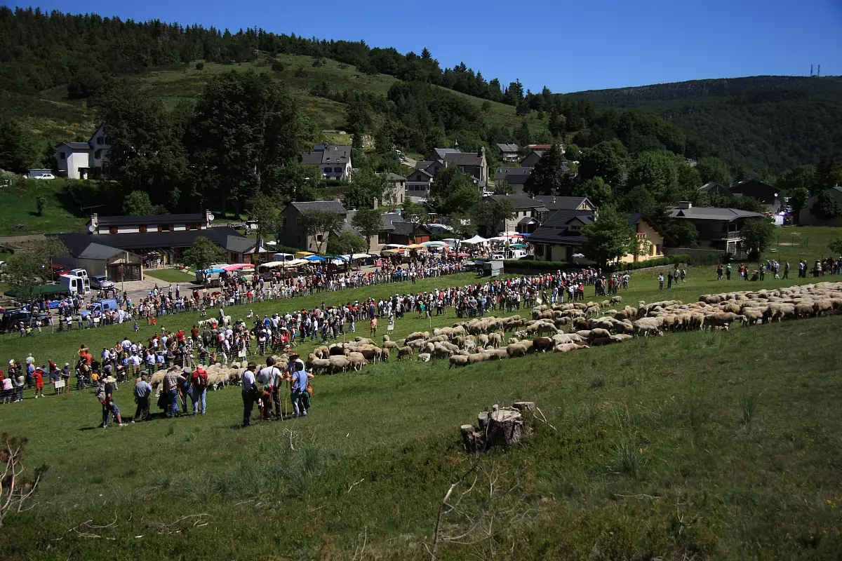 49T-fete-transhumanance