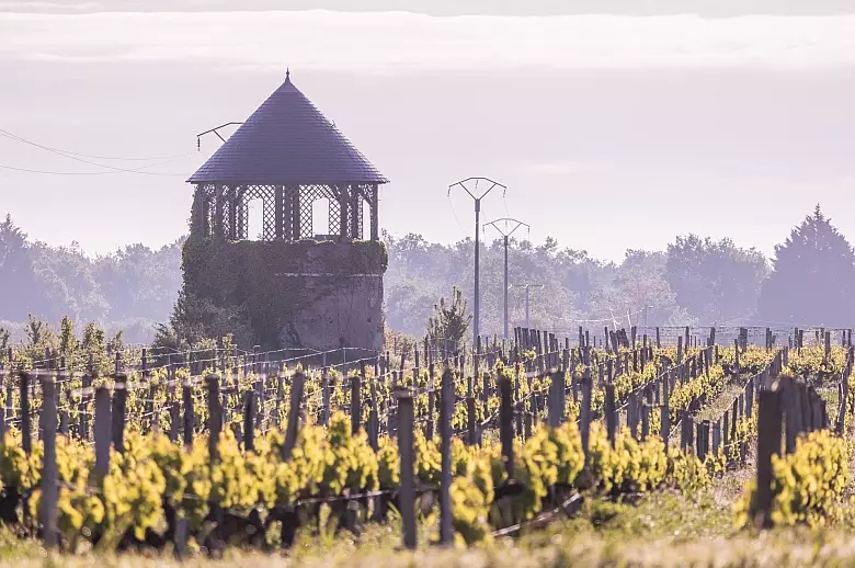 Pearl of Medoc - Location villa de luxe - Aquitaine / Pays Basque - ChicVillas - 33